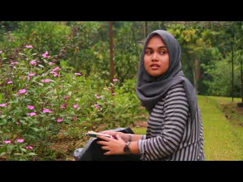 discombabulated- extremely unofficial music video of Senar Senja -savana