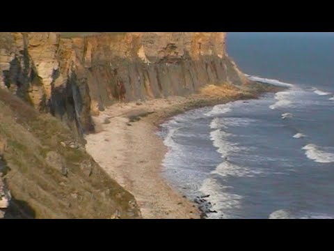 Video thumbnail for Valise