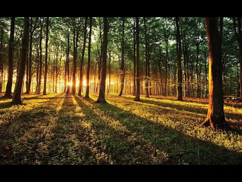 Jan Triba - Jan Triba - Vše se otočí (Světlo 2021)