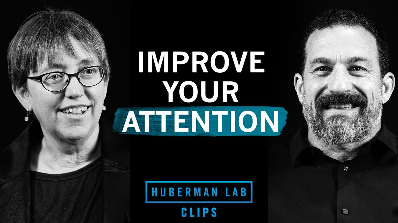 How to Improve Your Attention & Focus | Dr. Jennifer Groh & Dr. Andrew Huberman