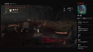【Bloodborne】鬼舞辻無惨のヤーナム無限城攻略(病めるローラン)