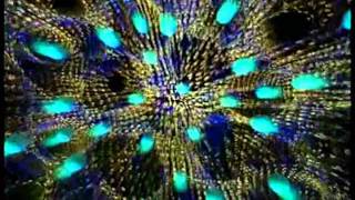 Edward Ka-Spel - Altered State