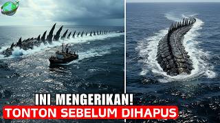 Download lagu Ahli Biologi Laut Akhirnya Mengungkap Makhluk Pemangsa yang Melahap Great White Shark Utuh mp3 Download lagu Ahli Biologi Laut Akhirnya Mengungkap Makhluk Pemangsa yang Melahap Great White Shark Utuh mp3