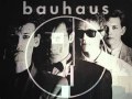 Bauhaus- Shes in parties (lyrics) 