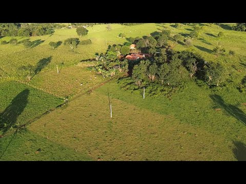 2 alqueires em Guapo apenas 60 km de Goiânia R$ 1.250.000,00