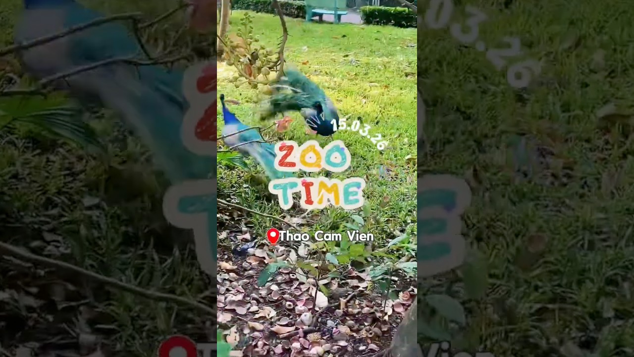 Thảo Cầm Viên ngày đầu năm có gì vui