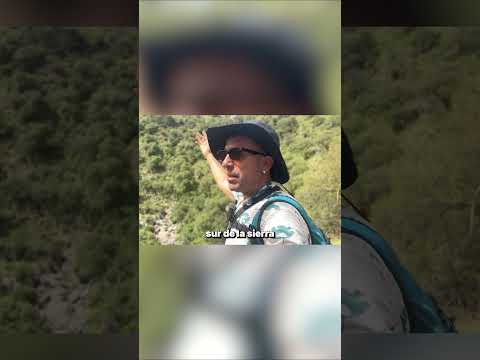 Cuando dudás, perdés en el camino a la Cascada de los Pájaros, en Cortaderas, San Luis.