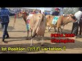 लाखो में एक ही गाय बनती है PDFA Champion 34 लीटर द