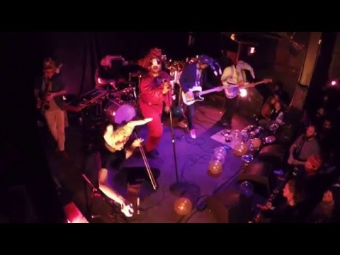 THE SNAILS: Live @ The Ottobar, Baltimore, 3/19/2016, (Part 5)