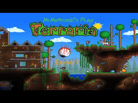 Terraria Episode 7: Preparing for the last fight of per hardcore.