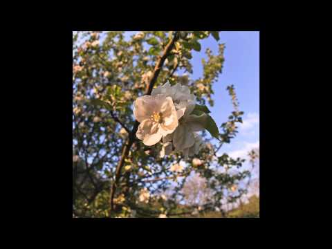 Joey Lacroix - Summer Blaze feat Renn Washington (Original Mix)