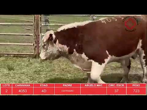 LOS CERROS DE SAN JUAN Y SANTANDER 2020