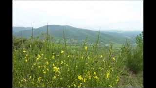 preview picture of video 'Balade en Ardèche nord Depuis Toulaud sur le GR 42B  (07 Ardèche)'