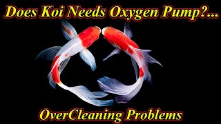 Does Koi Fish Needs Oxygen Pump Or Not?. Problems On Over Cleaning The Tank!.. / Fish Aquarium Tamil