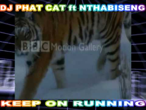 Dj Phat Cat ft Nthabiseng - Keep on Running