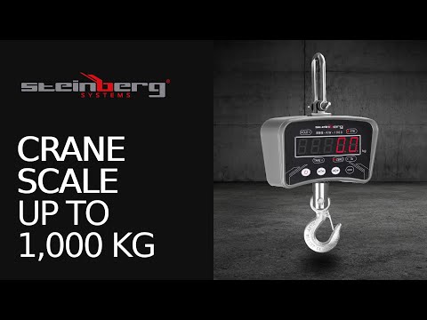 video - Crane scale - 1,000 kg / 200 g - LED - metal