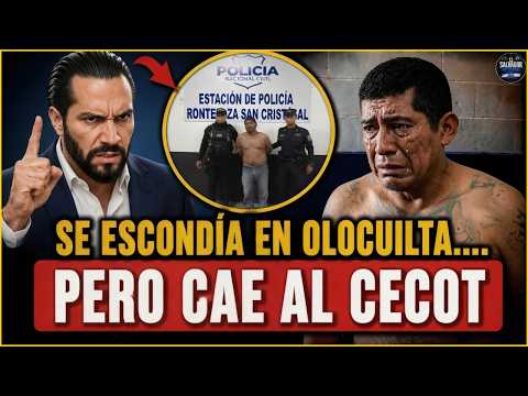 CAYÓ EN OLOCUILTA: EL HOMEBOY DE LA MS-13 QUE LA FUERZA ARMADA UBICÓ EN LA ZONA CENTRAL