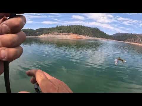 Pre-fishing for the ABA Championship on Lake Shasta