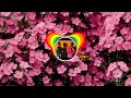 DeeJay T Adekunle Gold Party No Dey Stop Ft Zinoleesky