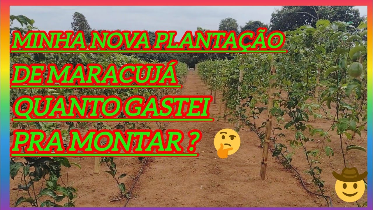 Quanto gastei pra montar minha nova plantação de Maracujá ? 🌱🤠 #agro  #nature #agriculture