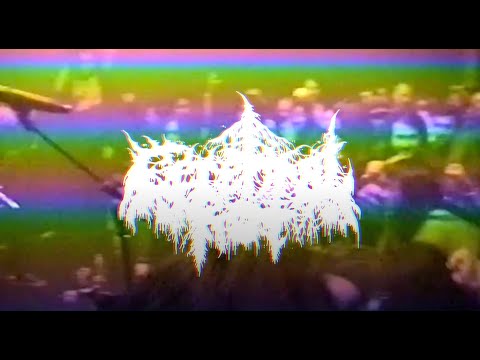 Cerebral Rot in Los Angeles 9/11/2021