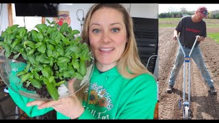 🌸 Starting Zinnias in Soil Blocks :👨‍🌾Direct Sowing Zinnia with Sunflower Steve: Flower Hill Farm