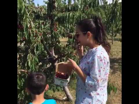 Sunanda sharma love cherry