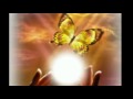 I Choose Love ~ Shawn Gallaway 