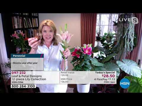 HSN | Your Best Backyard 05.07.2021 - 03 PM