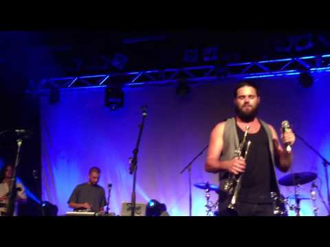 Wild Animals - The Cat Empire