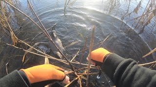 【ゴミ問題】抵抗する鳥と助けたい俺と見守る友達。