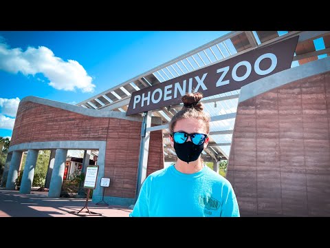 image-How much are Phoenix Zoo tickets?