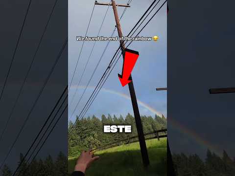 Fue hasta el final del arcoíris 🤯 (@AsianMusk)