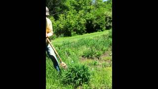 HOW TO PROPERLY DIG UP DAYLILIES