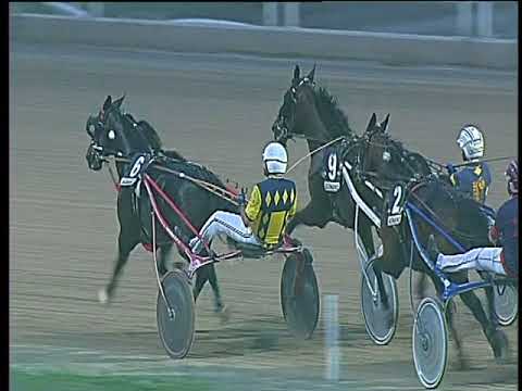 Trotto 01/10/2017 - 7ª corsa