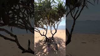 ឆ្នេរអង្កោល