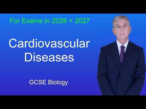 GCSE Biology Revision "Cardiovascular Diseases"