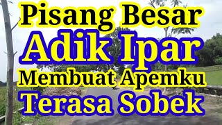 Download lagu Adiknya Suamiku Tinggal Dirumahku - Cerpen romantis mp3