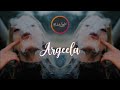DANZZ Argeela
