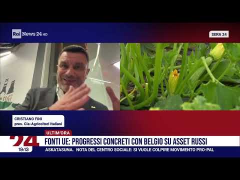 RAINEWS24 - Europa e protesta degli agricoltori. Il punto in diretta con il presidente di Cia, Fini