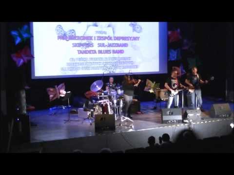 Pan Przecinek & Zespół Depresyjny - "Głosy dla hospicjum" 2016