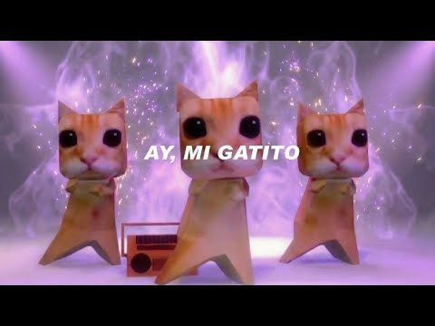 Ay mi Gatito Miau Miau | Official video Remix