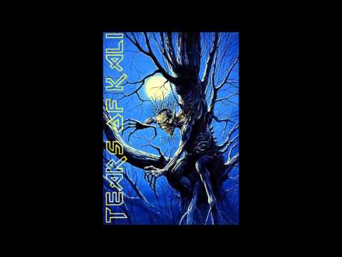 Tears of Kali - Willkommen auf dem Pfad des Todes