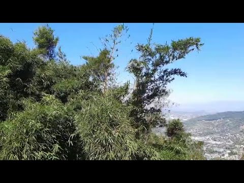 Bajas temperaturas y vientos en Panchimalco