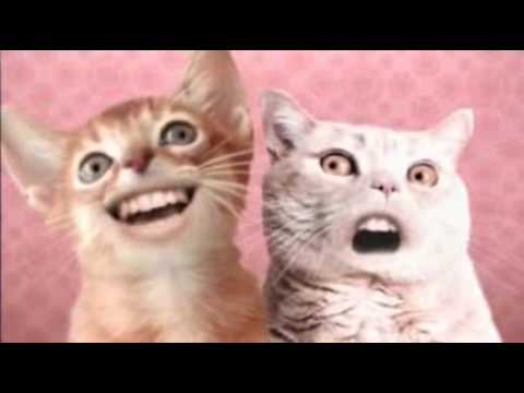 Ozone Cats-Miah ha hi :D