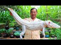 RARE Crocodile Baked In Lotus Leaf And Yellow Clay AMAZING Delicacy Uncle Rural Gourmet