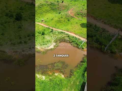 Vende-se terreno de 6 alqueires no Quilombo – Sabinópolis/MG
