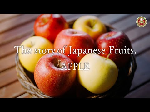 The Story of Japanese Fruits. – Apple (English)