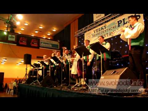 23. PLES MĚSTA KOLÍNA - 24. 1. 2015