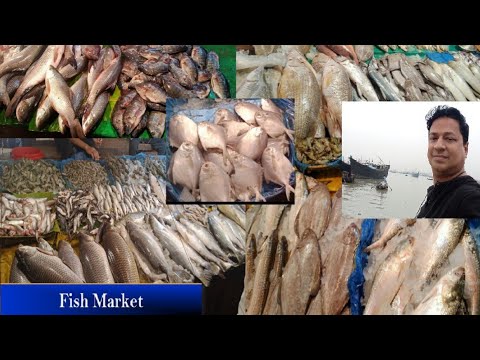 মাছের বাজার। Fish Market. Chawkbazar, Chittagong. #fish #marketing #green #seafish #prawn #dryfish
